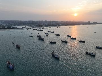 Chinas marine economy posts strong recovery momentum in Q1