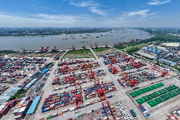 Chinas trade in goods with Belt and Road countries up 9.8 pct in H1