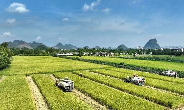 农业农村部：7月26日“农产品批发价格200指数”为118.18