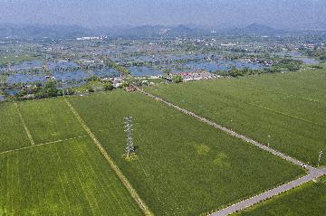 浙江：一季度地区生产总值20137亿元 同比增长6.1%