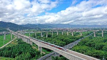 Chinas manufacturing PMI at 49.4 in July